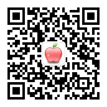 alyx中国官网
